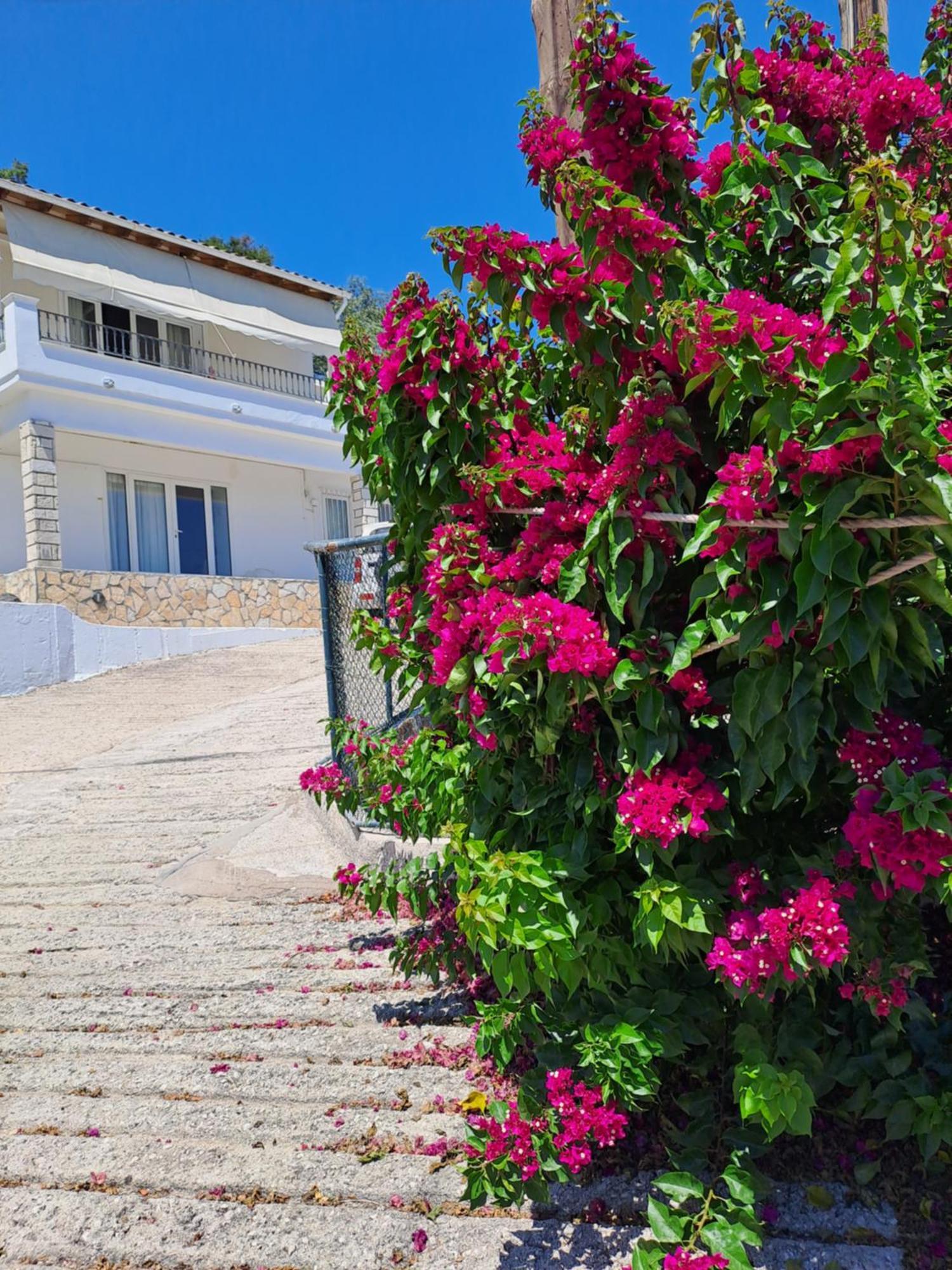 Appartement Bougainvillea Korfu Dış mekan fotoğraf