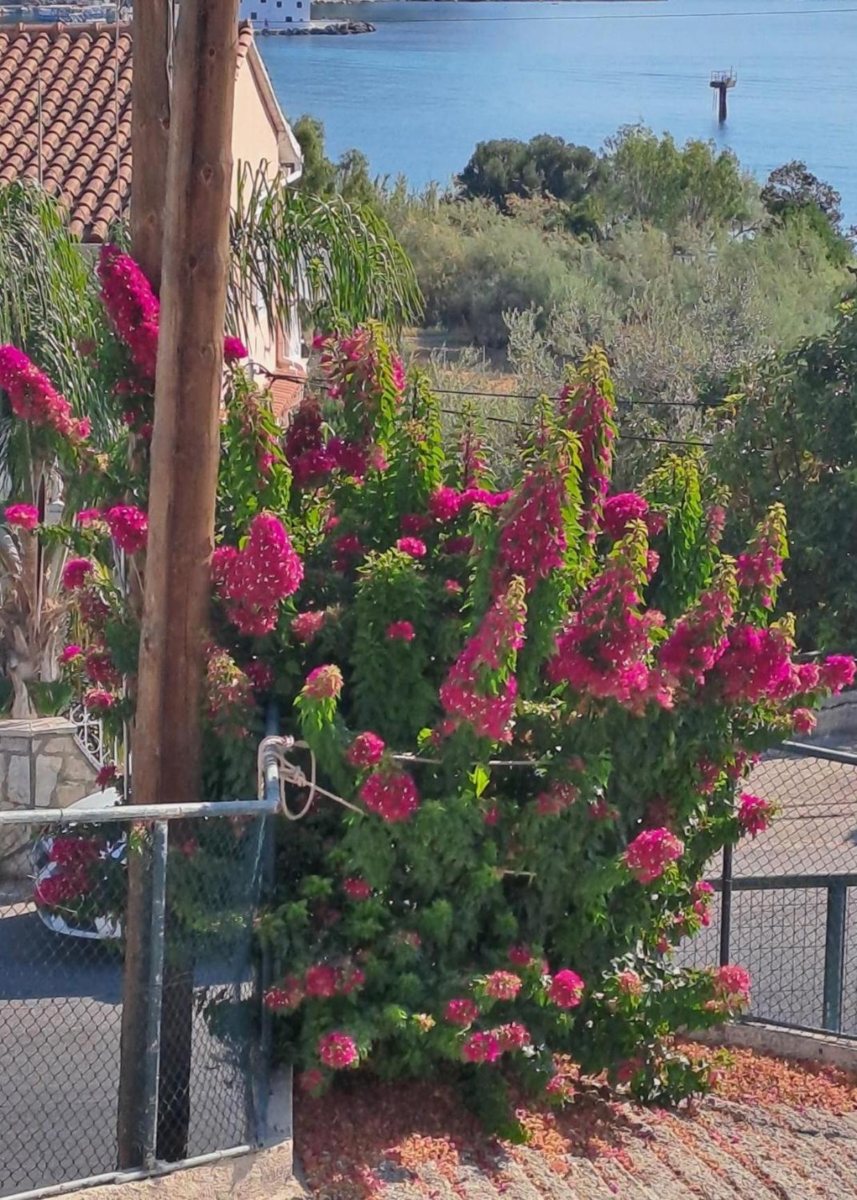 Appartement Bougainvillea Korfu Dış mekan fotoğraf